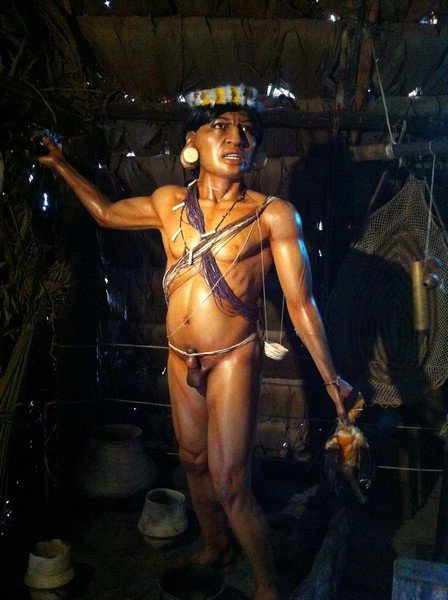 Indigenous Warrior 