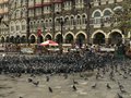 Pigeons in Front of the Taj Mahal Hotel