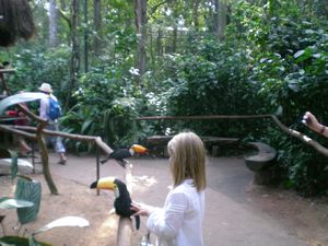 Iguazu 073
