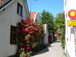 Street in Visby 