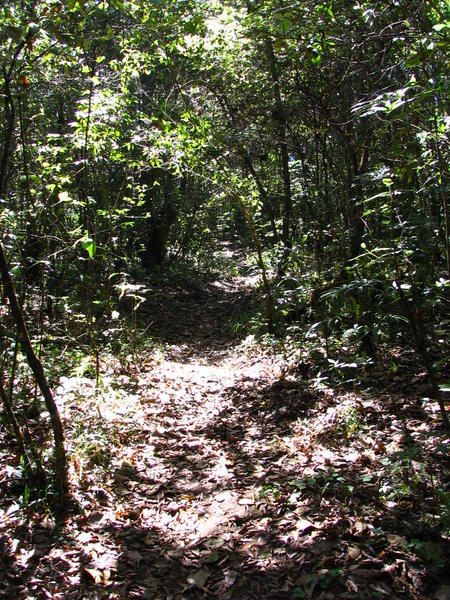 a hike through parque ecologica Huitepec
