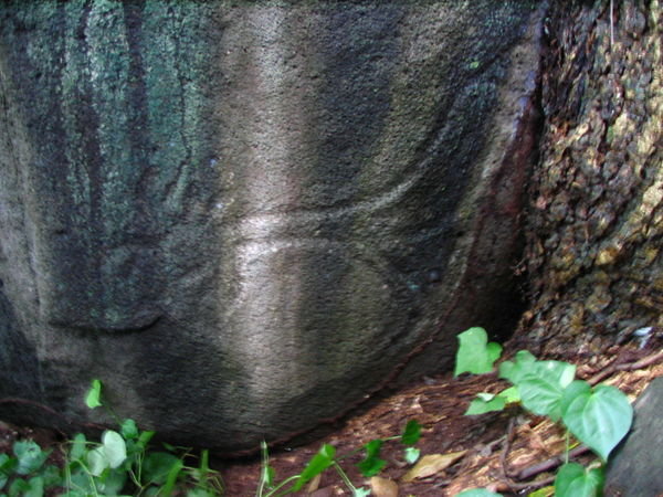 Petrogliff