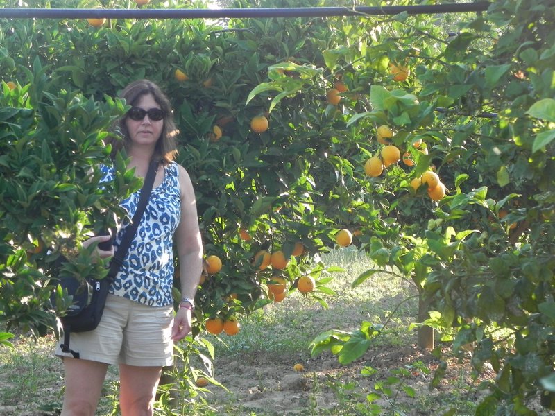 Kim lurks in orange grove