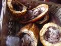 Newly split cacao pods look like monkey brains before they became chocolate