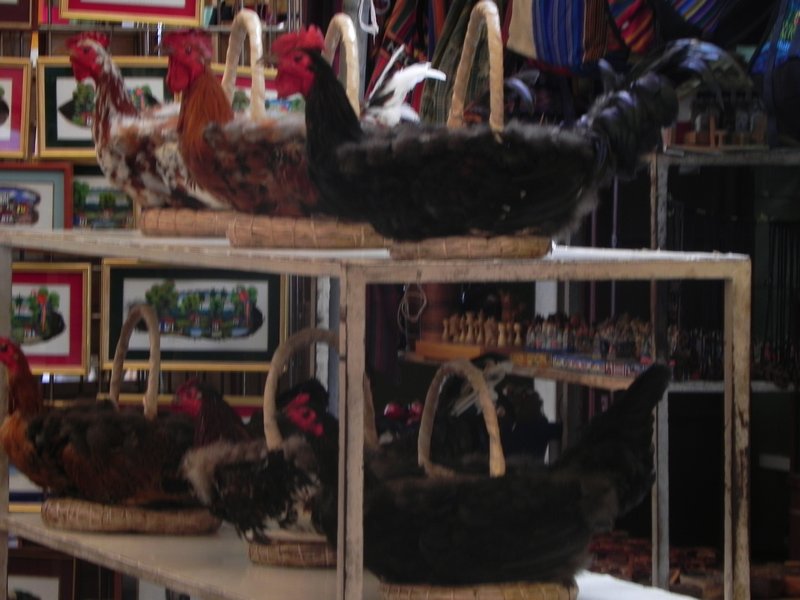Baskets made of real chicken feathers and stuff - eeew