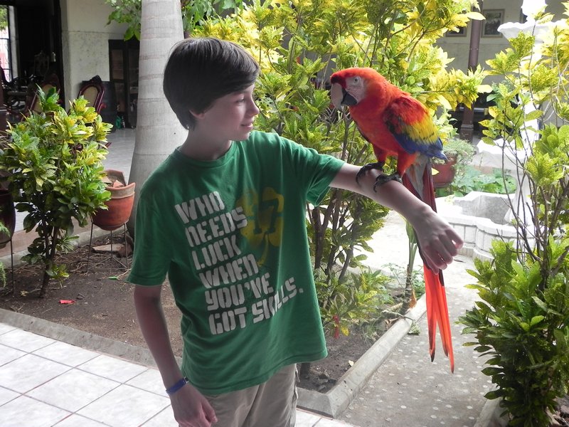 Macaw meets Will