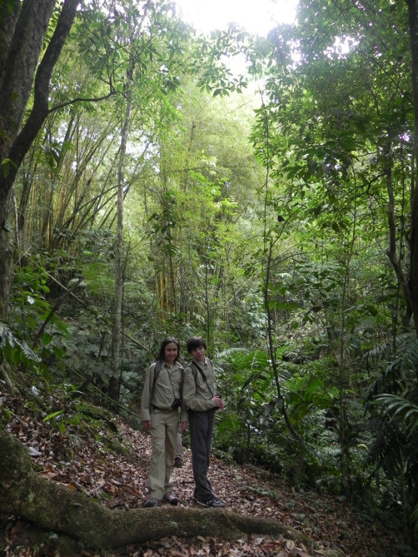 Will and Marika in rainforest