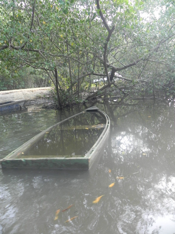 Sunken swamp boat
