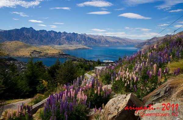 Iconic Queenstown View from Skyline Gondola