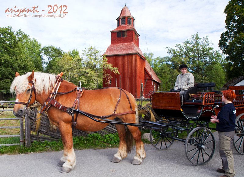 Traditional Houses & Carriages @ Skansen