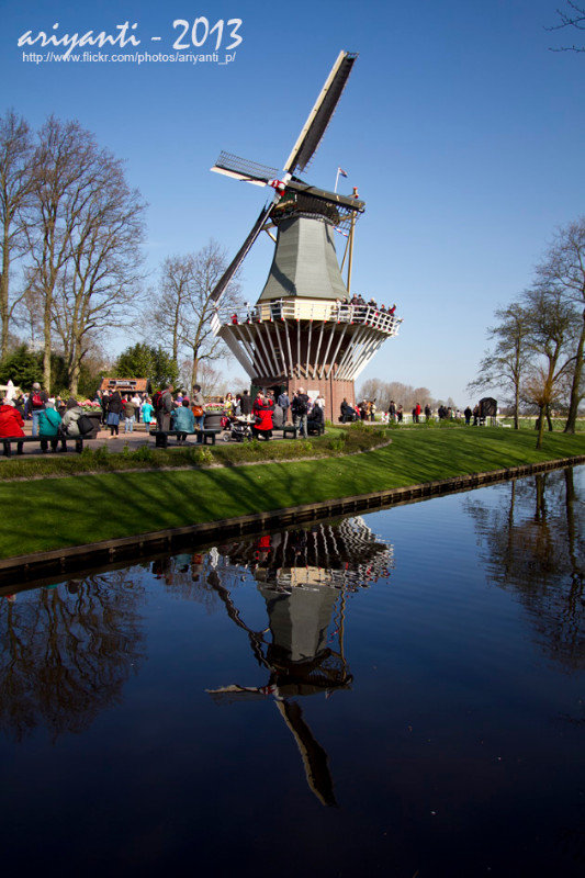 Iconic Windmill