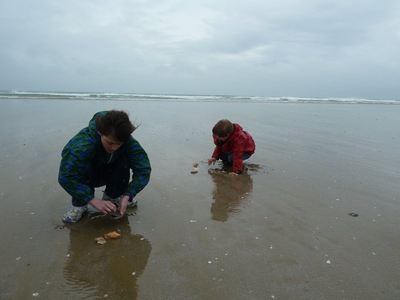 Ivy and Theo looking for shells
