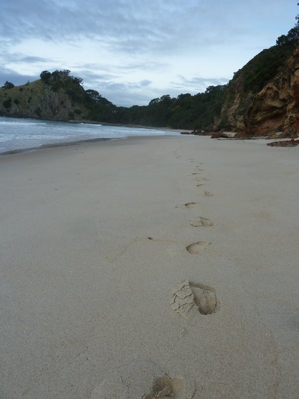 Suzy's footprints on her walk up the beach