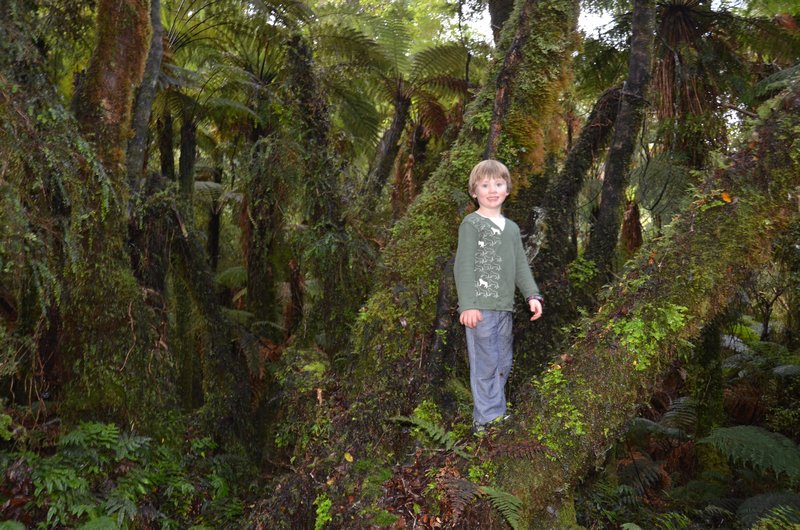 Theo along the mossy trail to Monro Beach