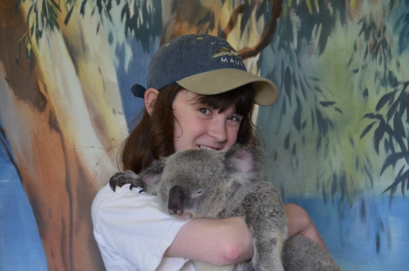 Ivy cuddling with a koala