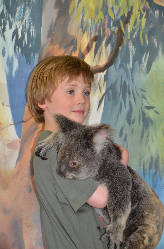Theo with a koala