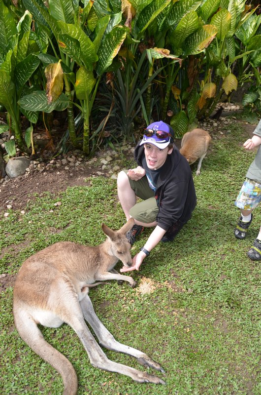 Geddy hand feeding a kangaroo