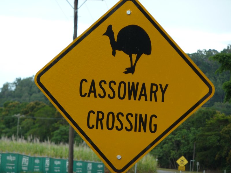 The Cassowary Crossing sign!!