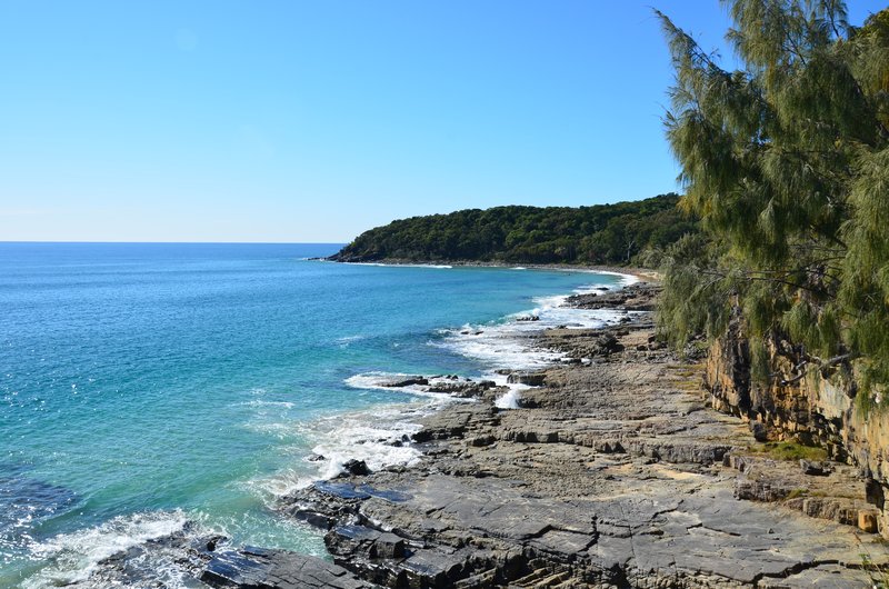 The coast along the Noosa Heads National Forest