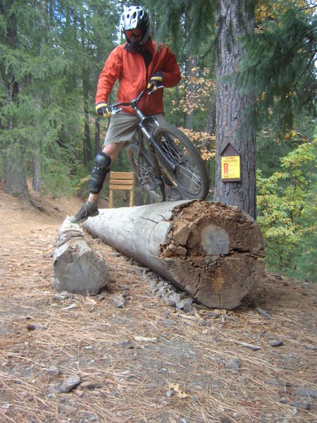 Drew stunting on a log