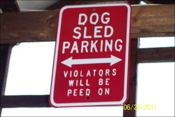 for dog owners