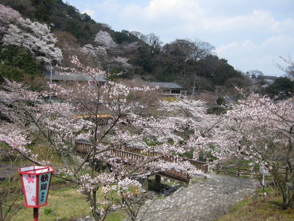 Gifu