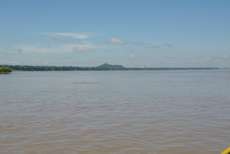 Seeking Dolphins on the Mekong