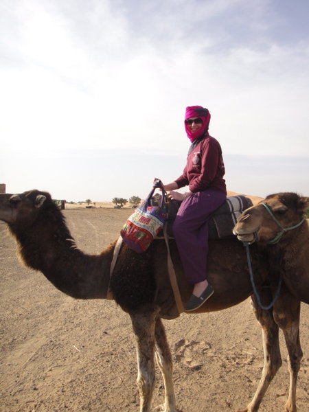 Riding on a Camel?