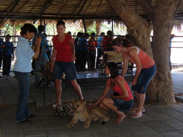 Kate, Karen & Emma before Kate got bitten by the Tiger