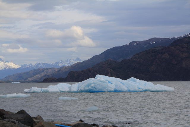 Icebergs outside our Refugio
