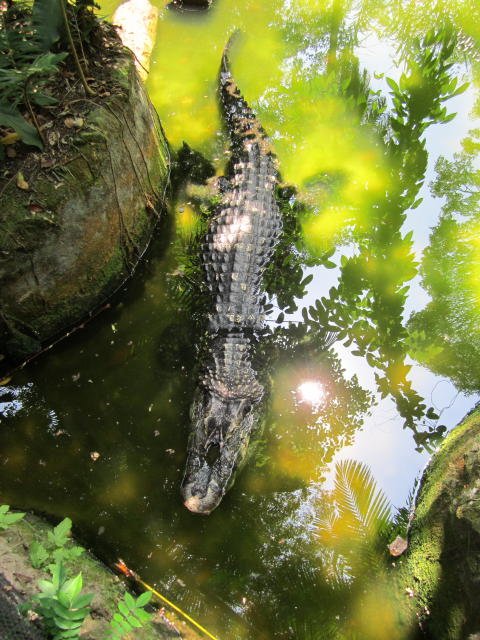 Belem - Zoo