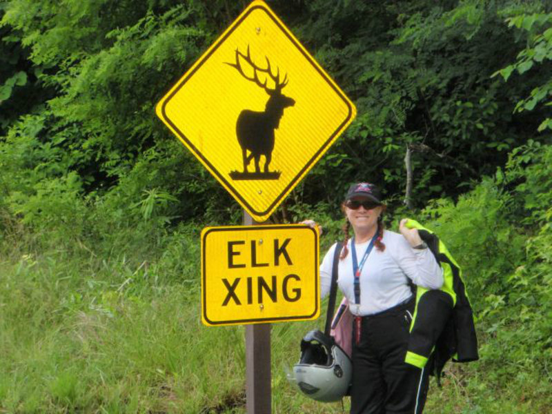 ELK ? Crossing