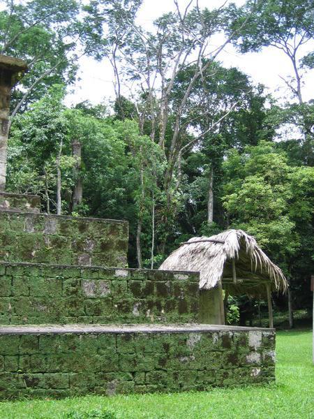 Jungle Temple in Ceibal