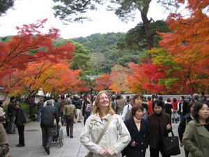 Kyoto - The Colours