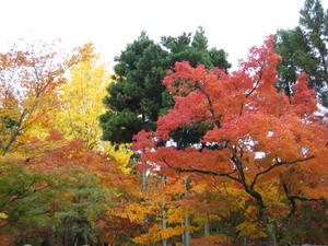 Kyoto - The Colours3