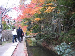 Kyoto - The Philosopher's Walk2