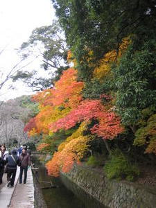 Kyoto - The Philosopher's Walk4