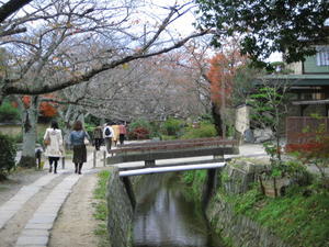 Kyoto - The Philosopher's Walk6