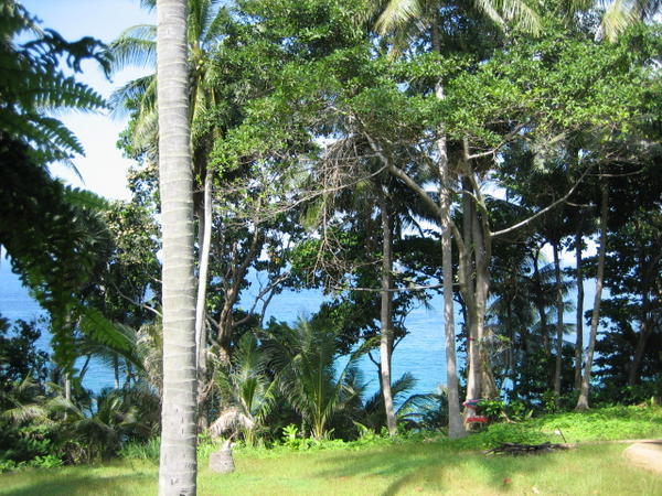 View from our Bungalow Area