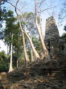 Angkor Thom - Preah Palilay