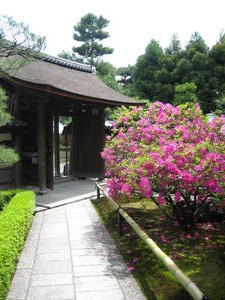 Kyoto - Daitoku-ji3