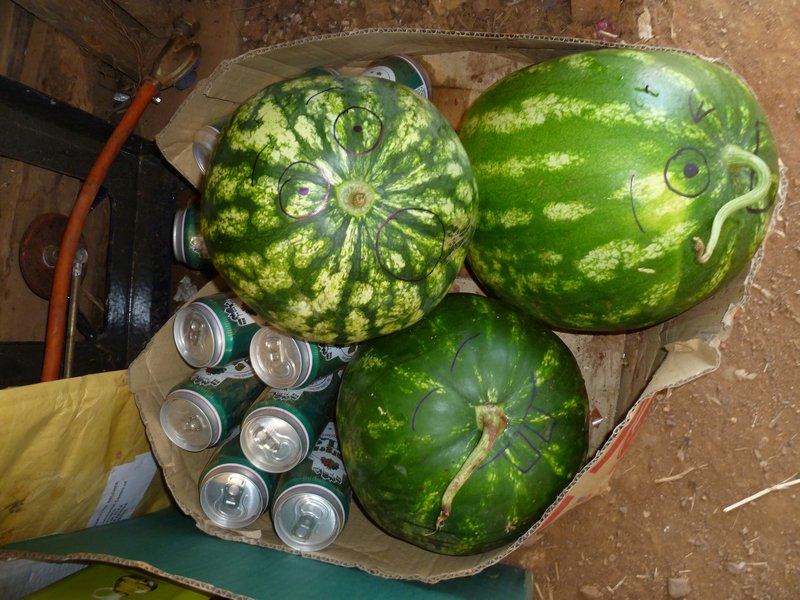 Watermelons from the Melon Pickers...Beer Optional