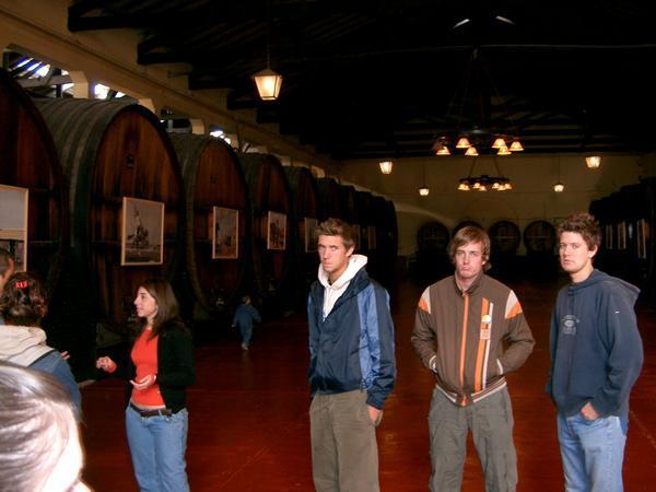 The boys were very interested in the wine tour