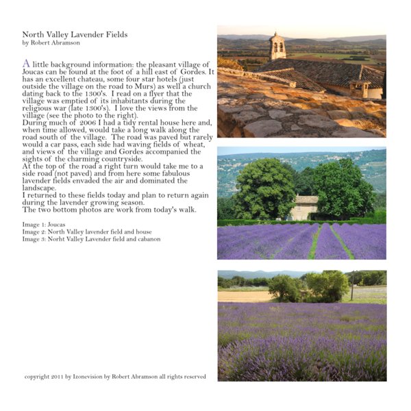 North Valley Lavender Fields