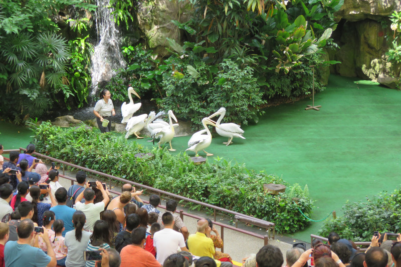 Jurong Bird Park