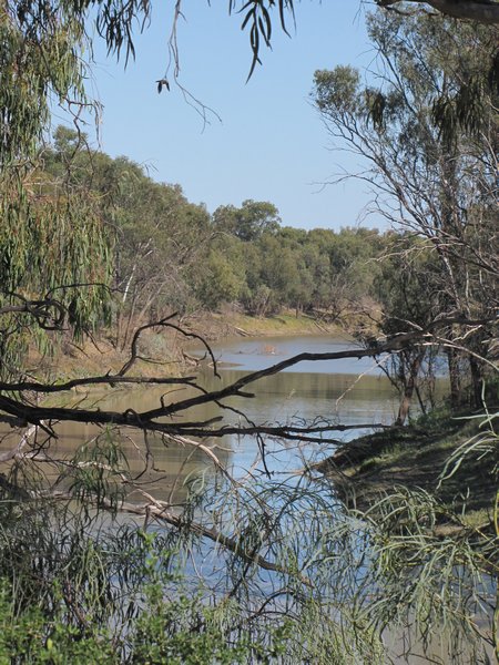 Darling River - Bourke NSW