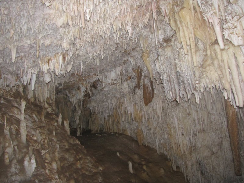 Jewel Cave 12