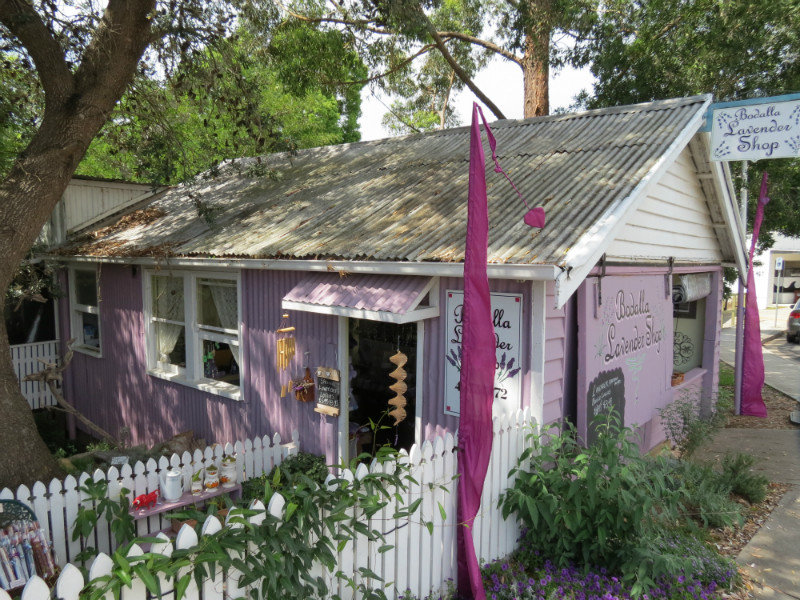 Bodella Lavender Shop