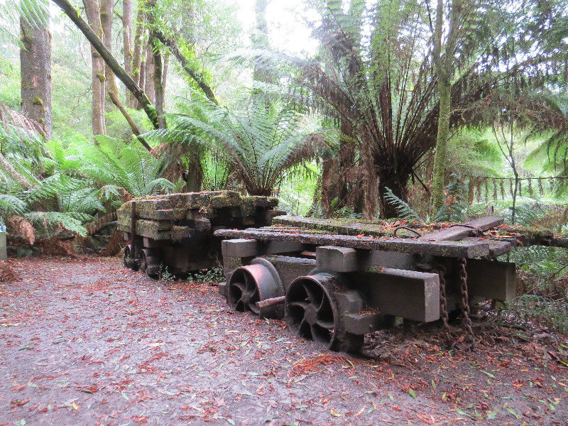 Relics of earlier forestry