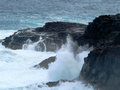 The blow holes